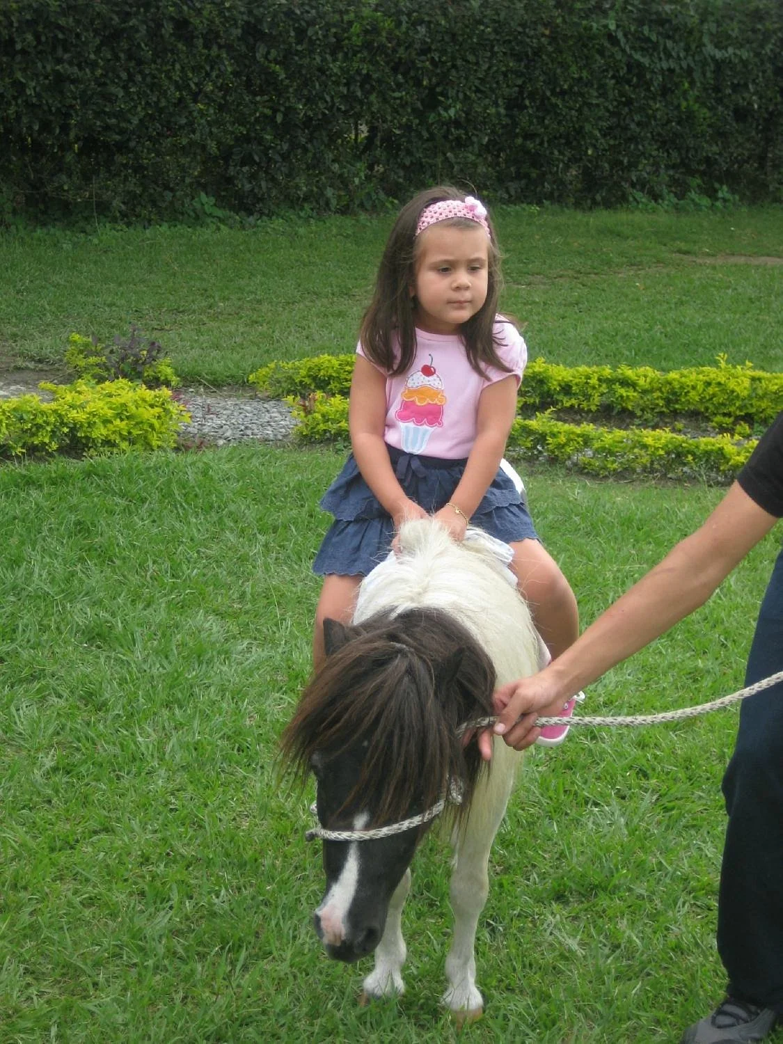 Granja Pinares