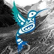 Colibri Experience