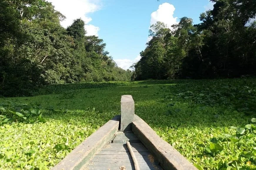 Amazonas Travels