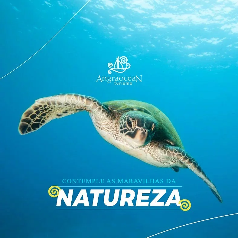 Angra Ocean Turismo
