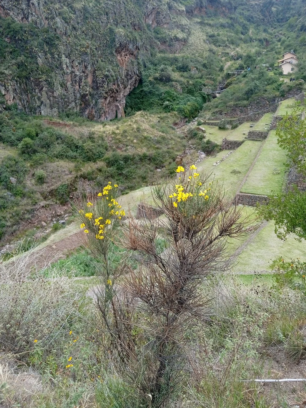 Tour Machupicchu Expedition