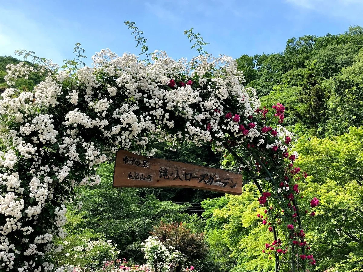 Takinoiri Rose Garden