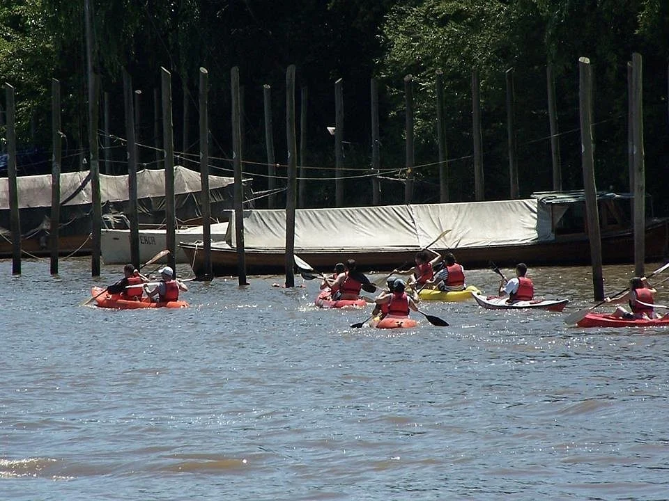 Sculls - escuela de remo y kayak