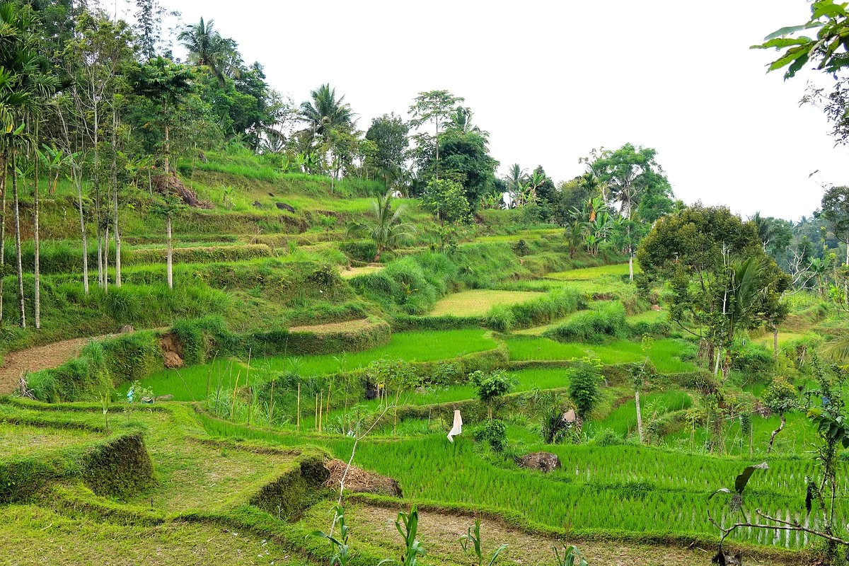 Tetebatu Tourist Village