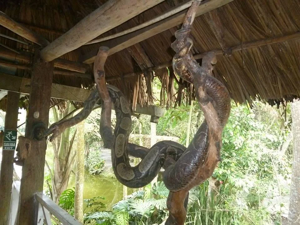Complejo Turistico Yacumama
