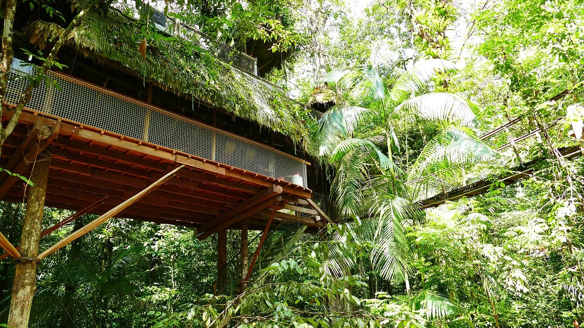 Canopy Guyana