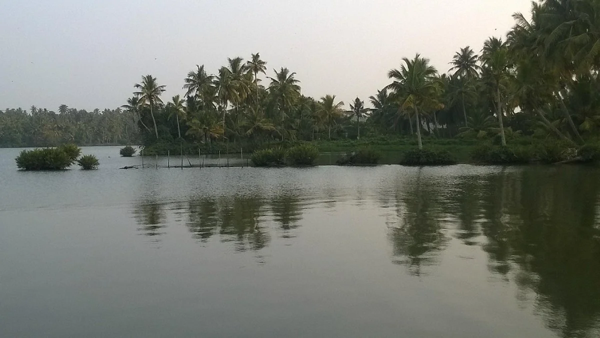Ponnumthuruthu Island