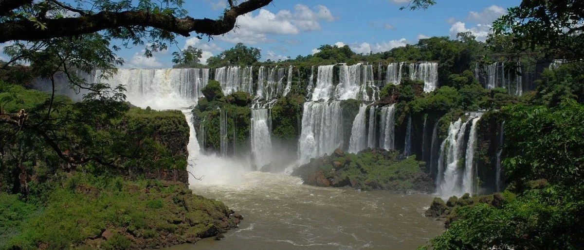 Tangol Puerto Iguazu