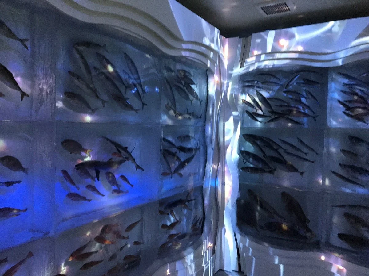 Ice Aquarium