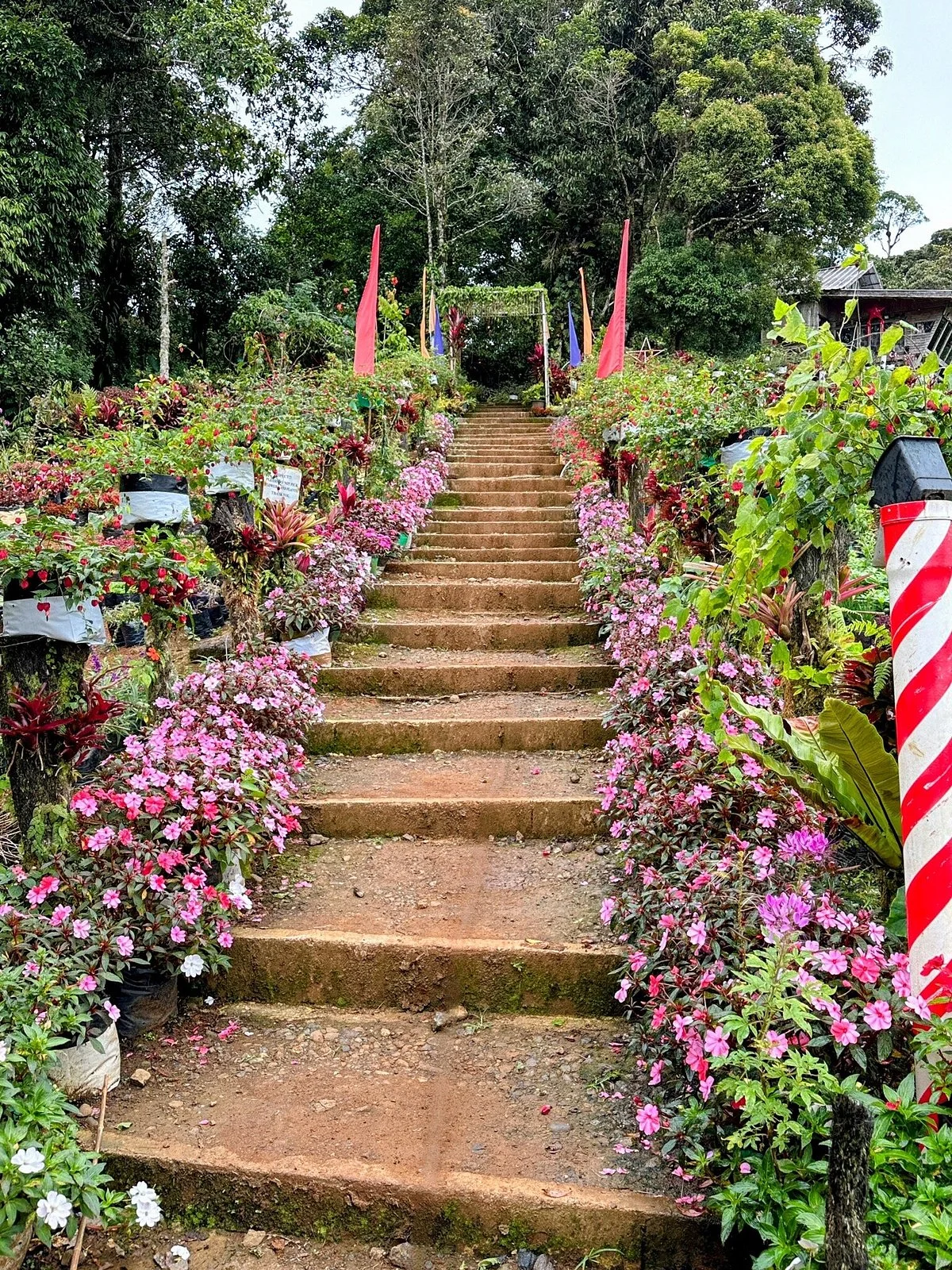 BEMWA Farm
