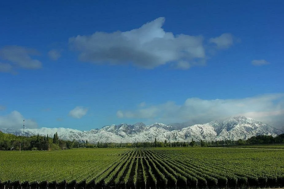Mendoza Tours by Say Hueque