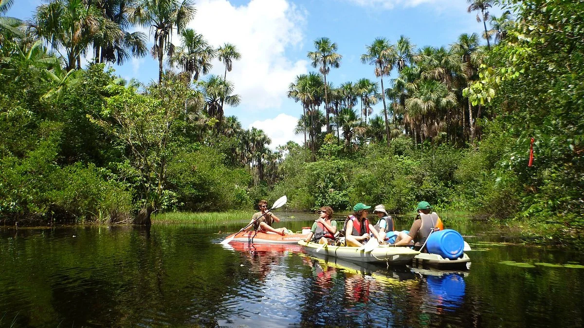 Amazonie Découverte