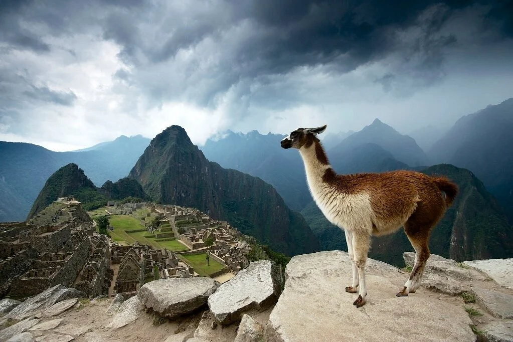 Cusco Tours by Say Hueque
