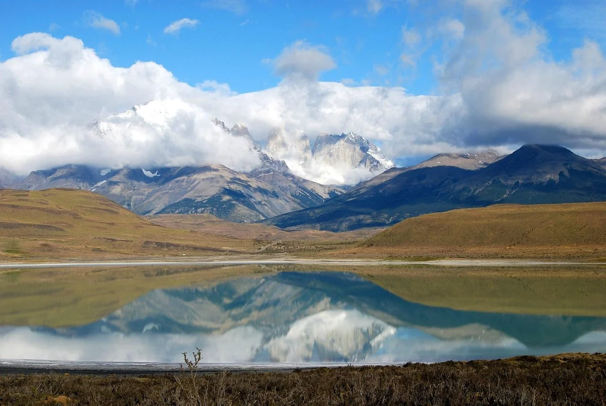 Dragón de la Patagonia
