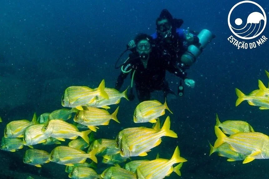 Estacao do Mar