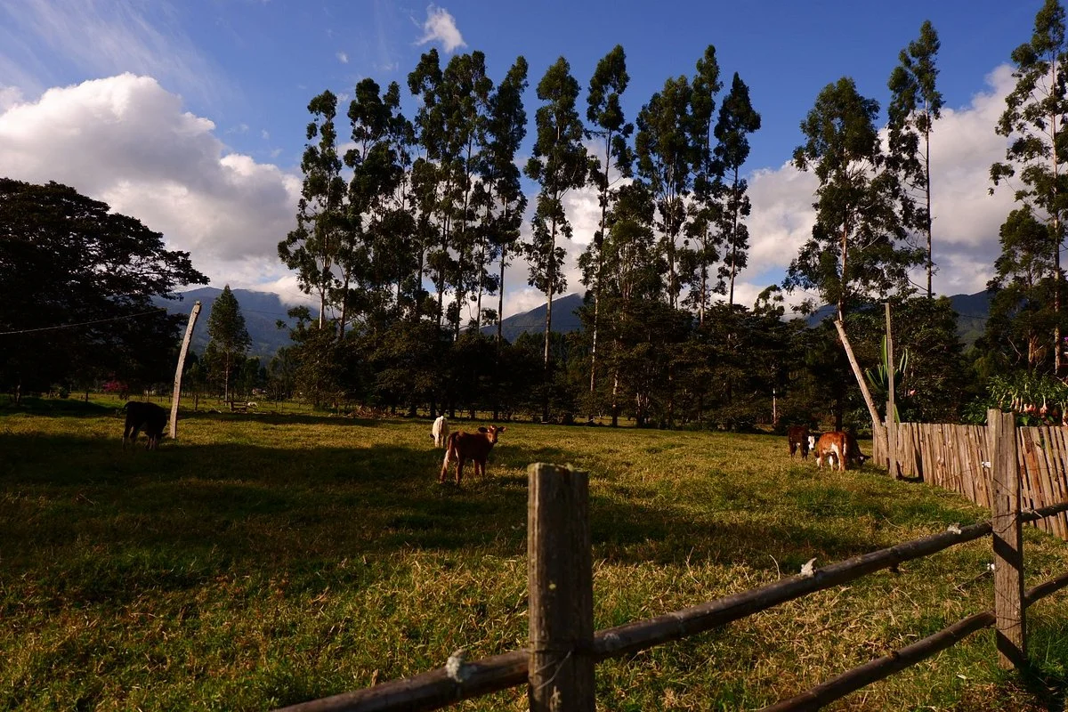 Rancho Anibal Ruffner