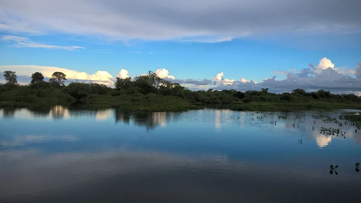Pantanal Wilderness