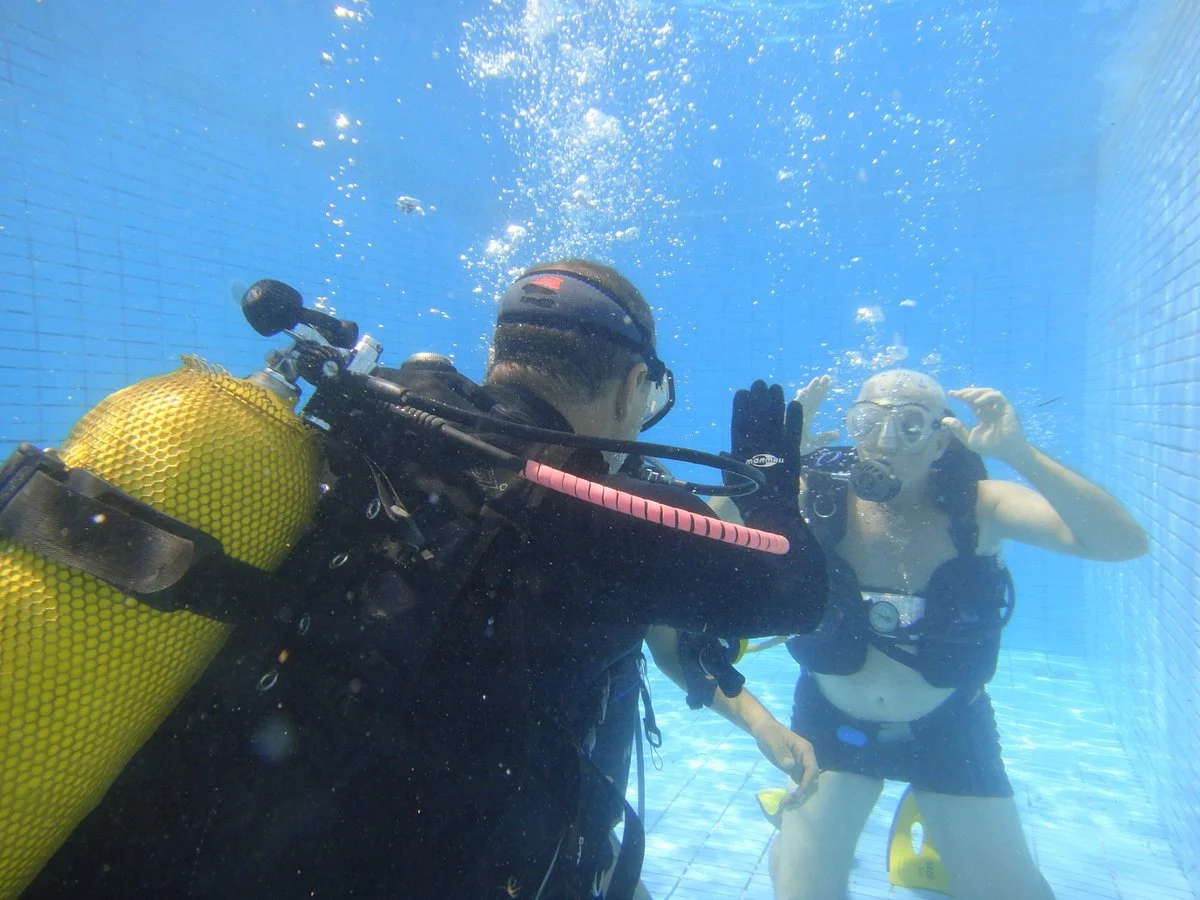 AlphaDivers