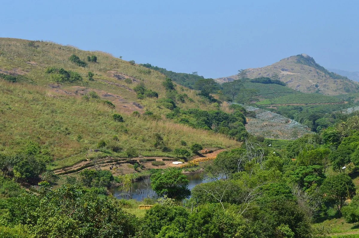 Vagamon Orchidarium and Floriculture Project