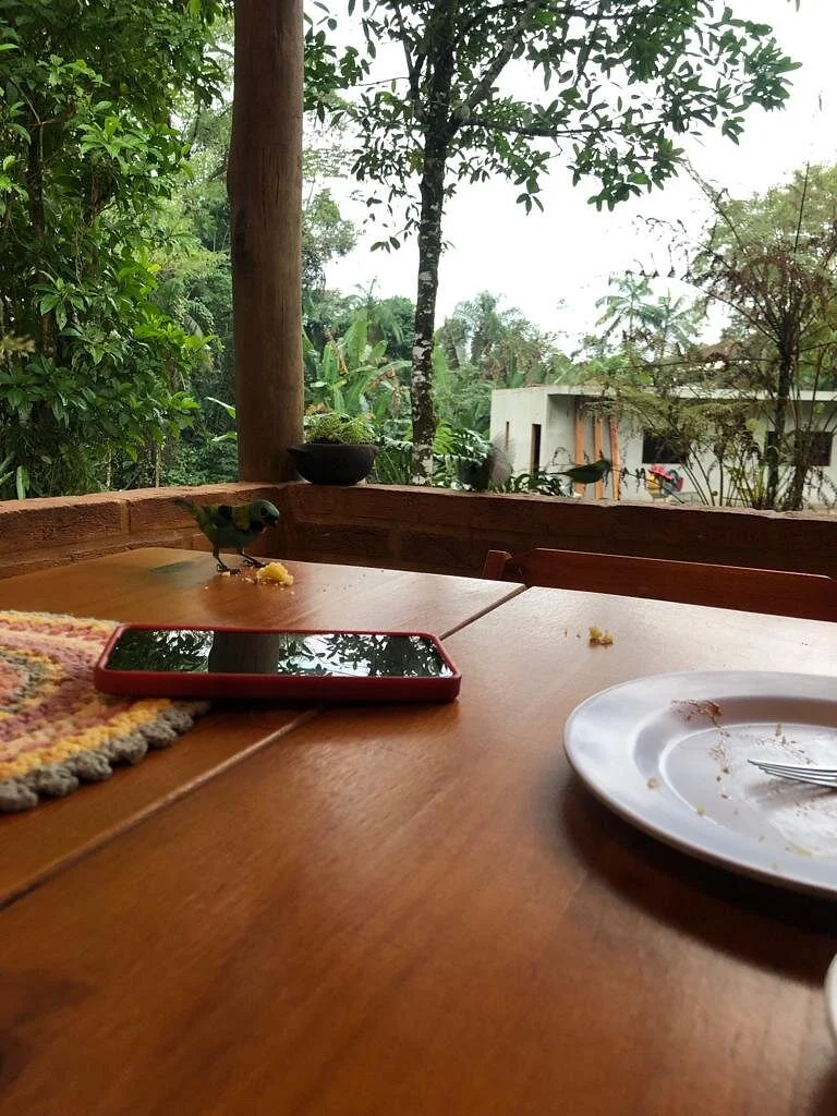 Casa De Farinha Ouro Branco
