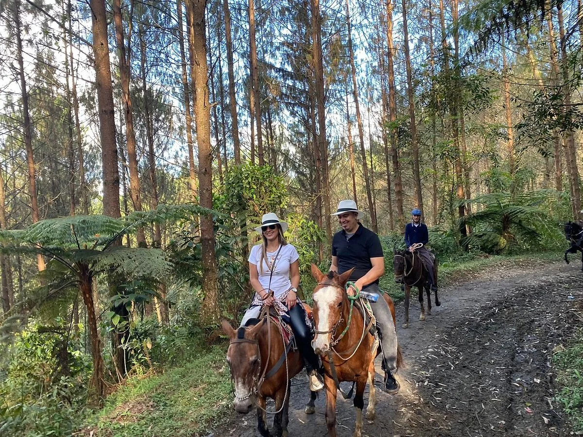 Cabalgatas En Antioquia