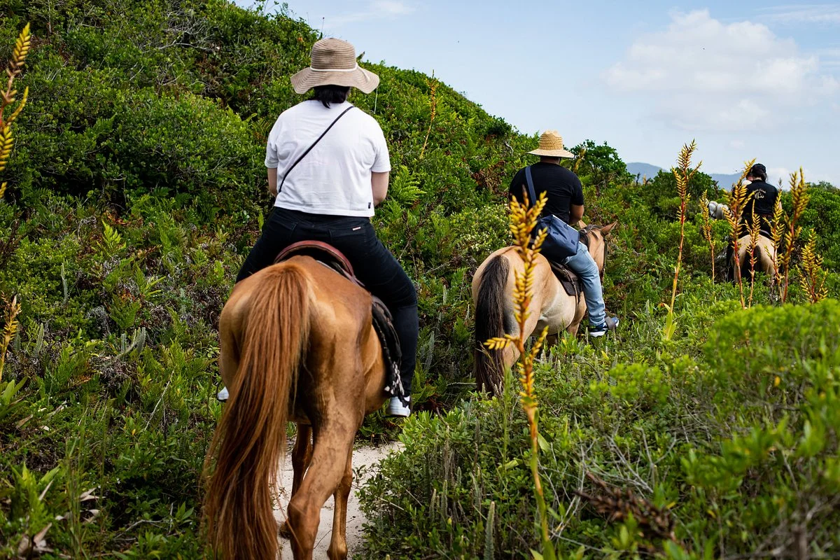 Cavalgada floripa