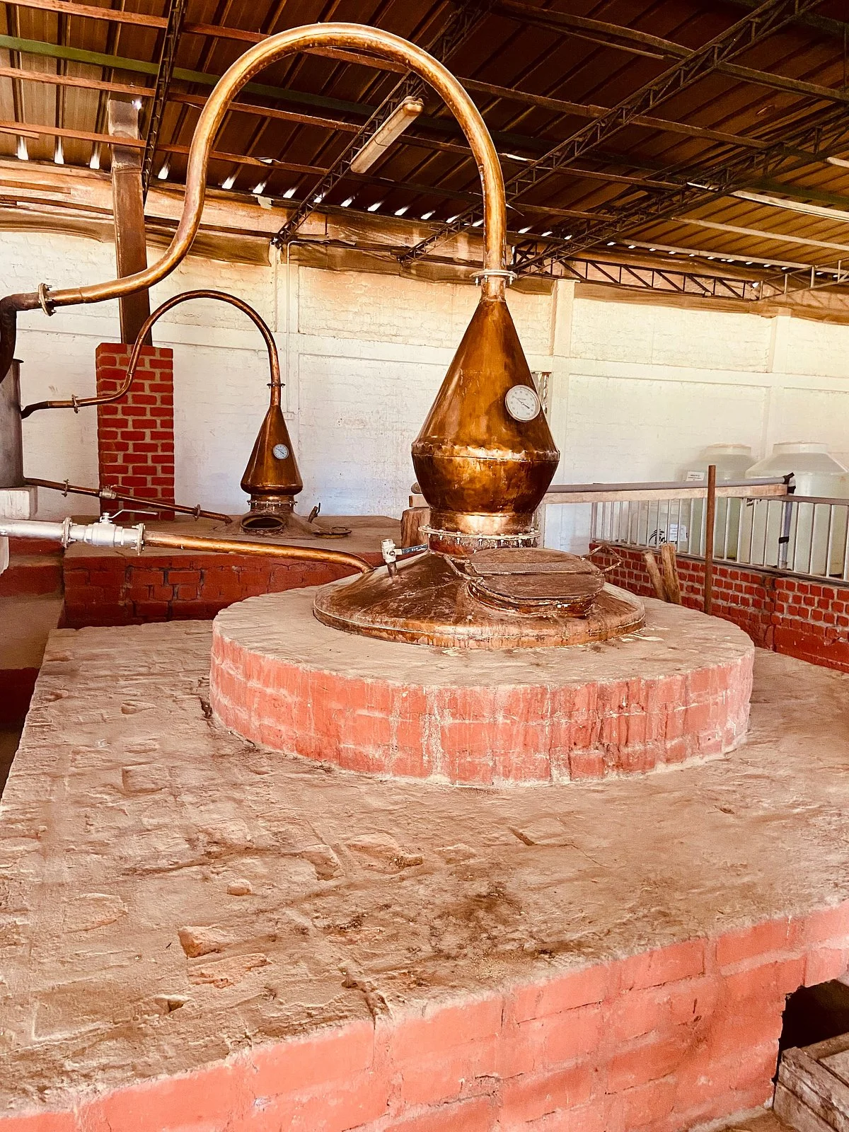 Bodega Pampas