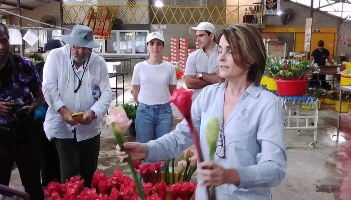 Magic Flowers