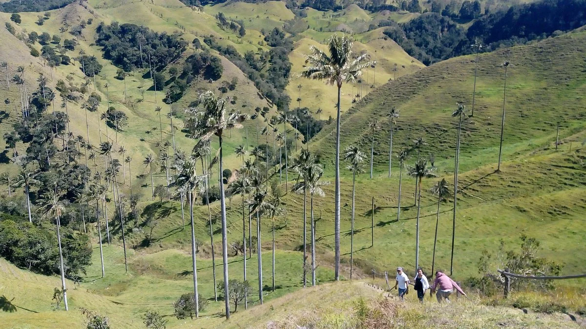 Caldas Ecotravel