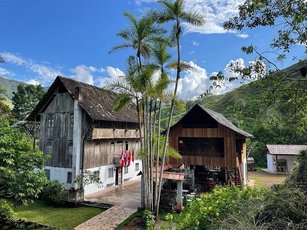 Palmatambo