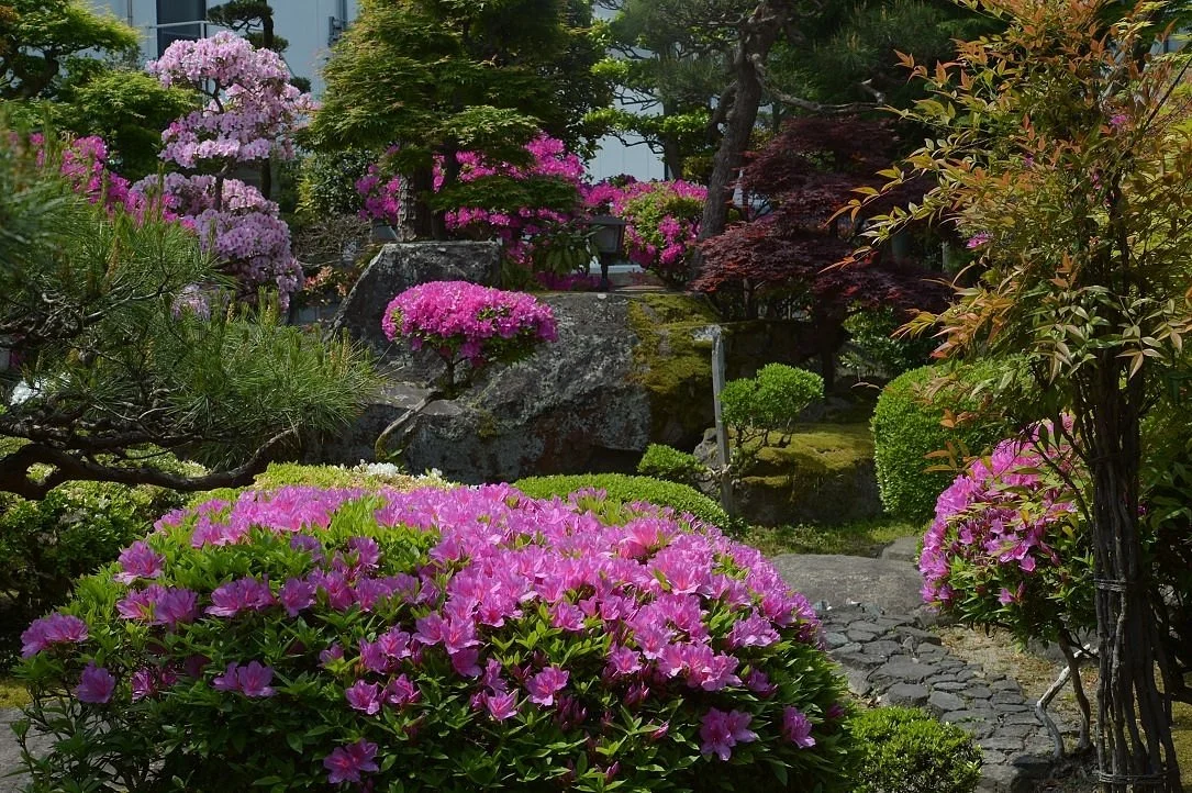 Hokkoku Kaido Ando Family
