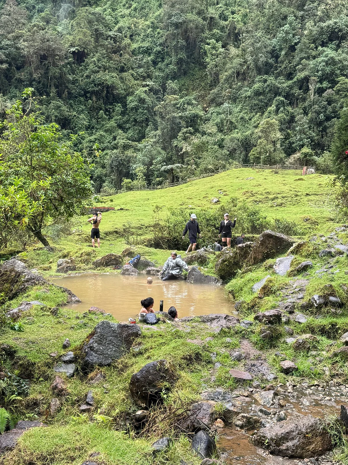 Camaleon Travel