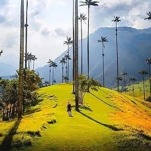 Corporación Colombia Mágica