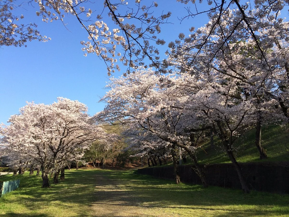 Tama Lake Cycling Road