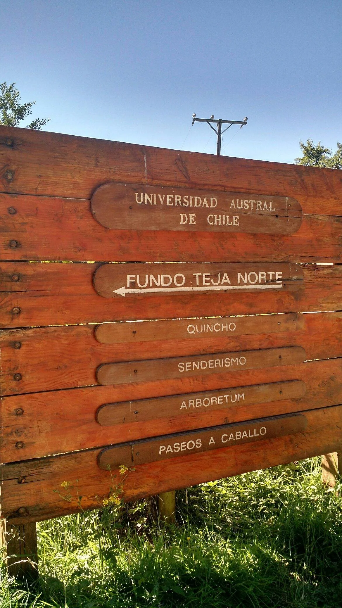 Fundo Teja Norte