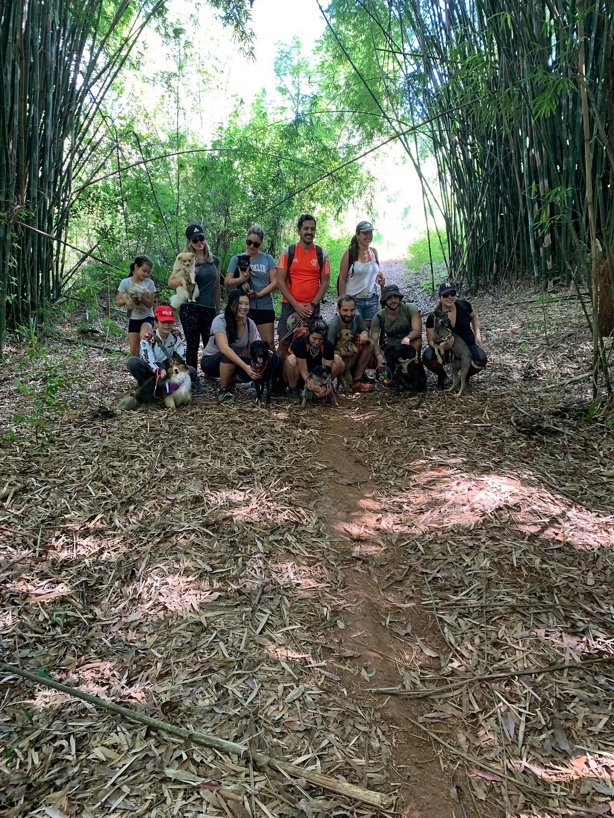 Roteiros De Aventura