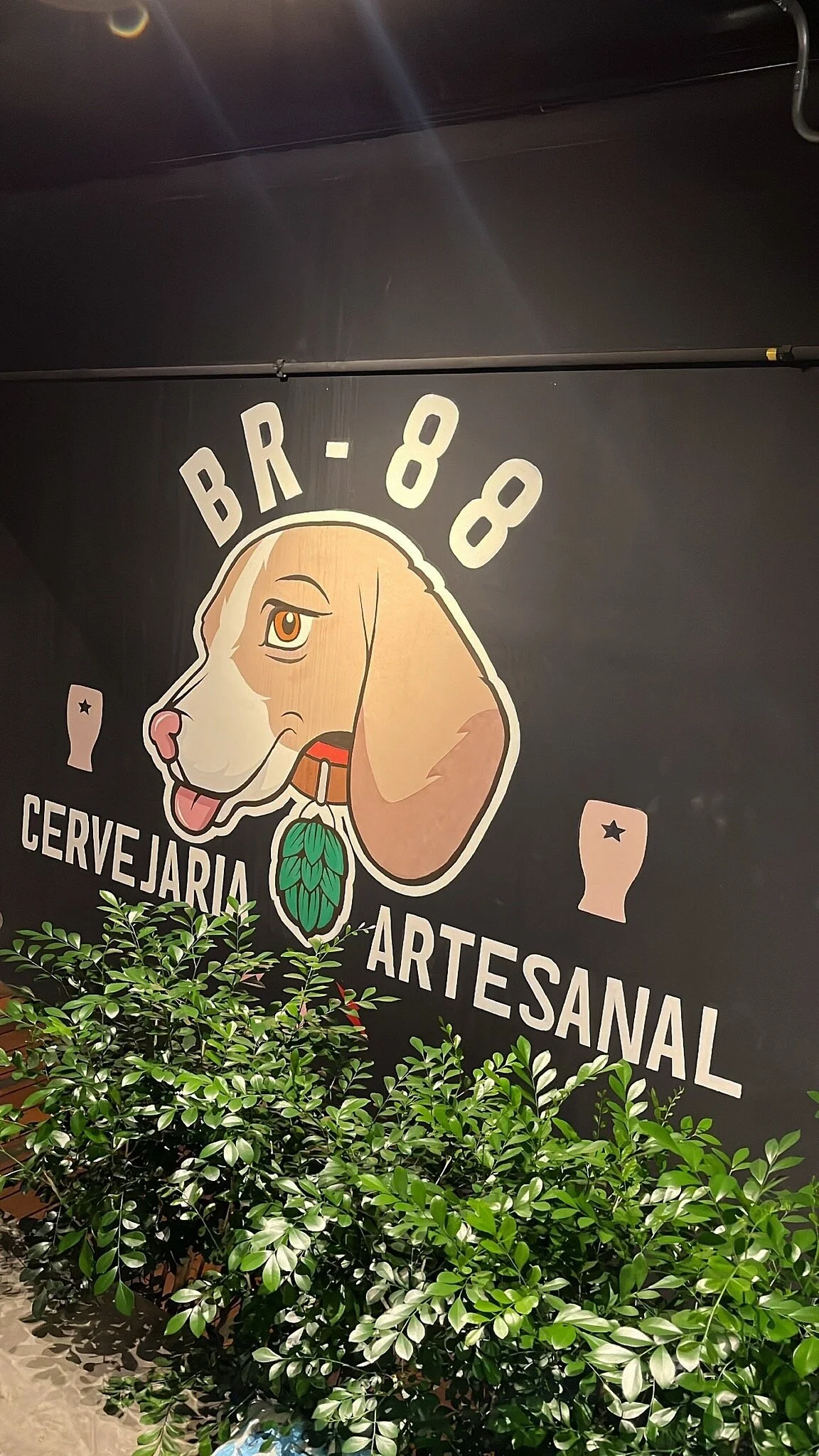 Cervejaria Br-88