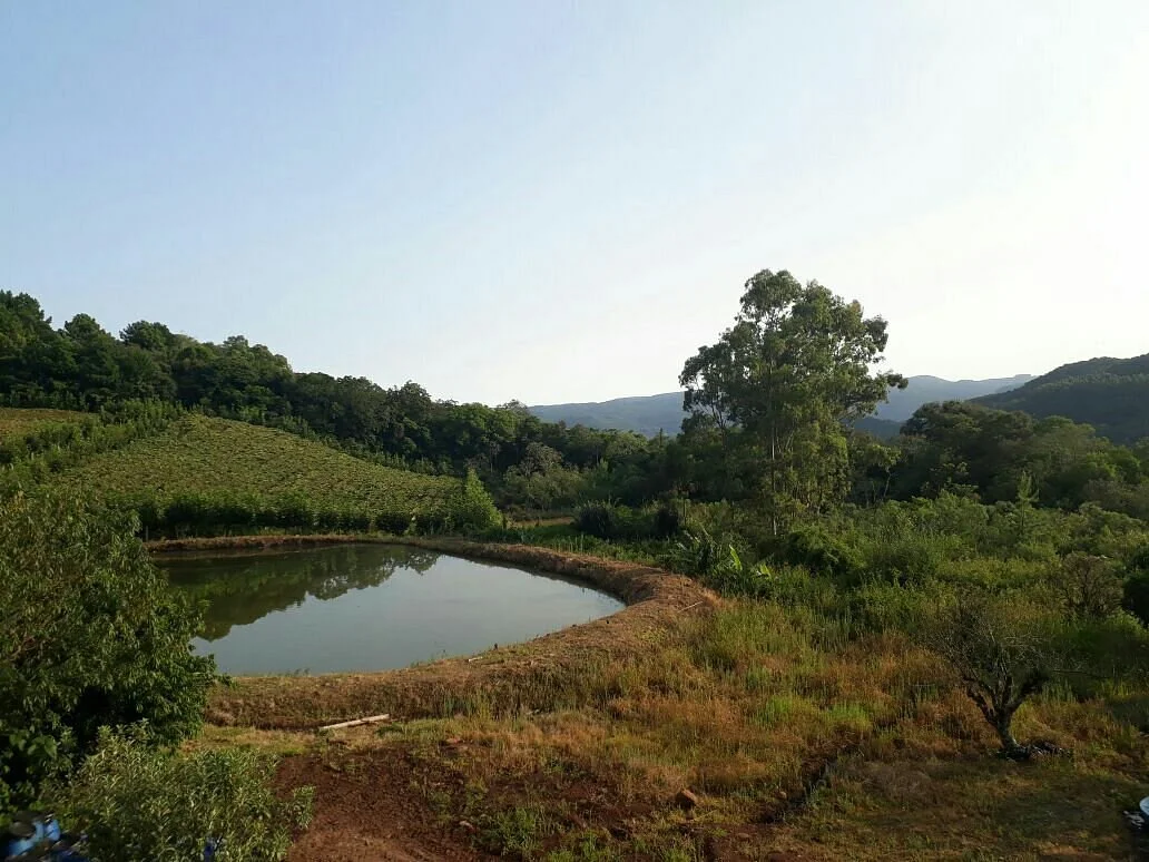 Sucos e vinhos Dom Vitor