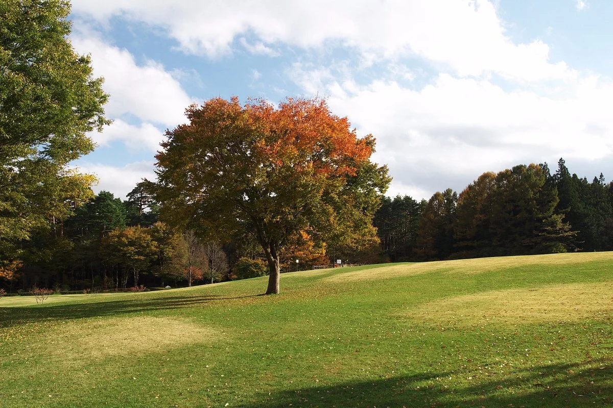 Suwanomori Nature Park
