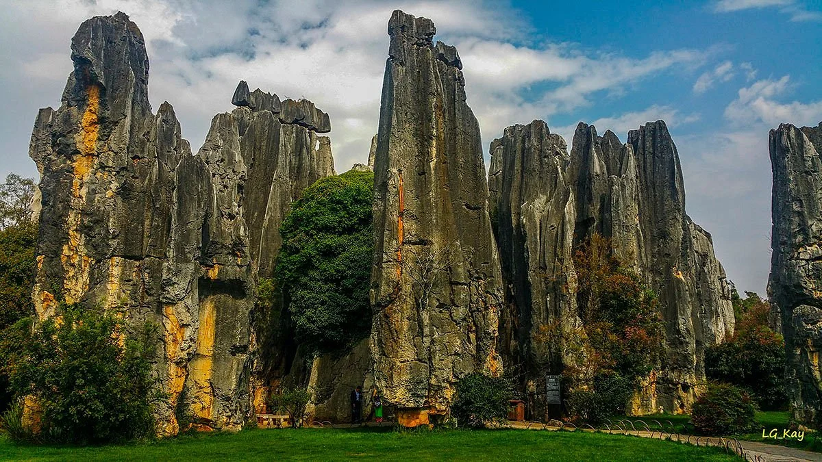 Yunnan Stone Forest Geological Park