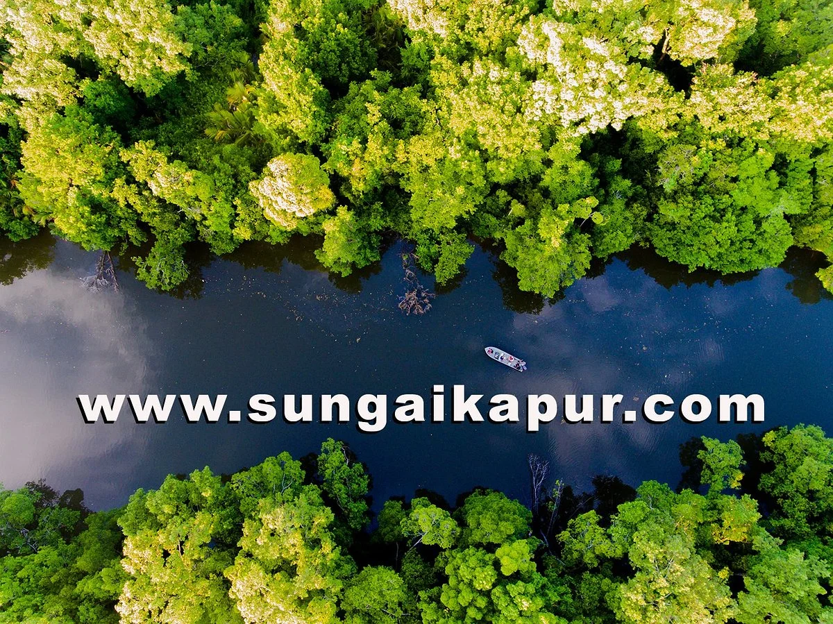 Sungai Kapur