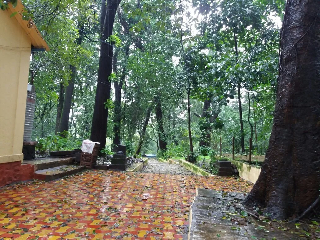 Ryewood Park