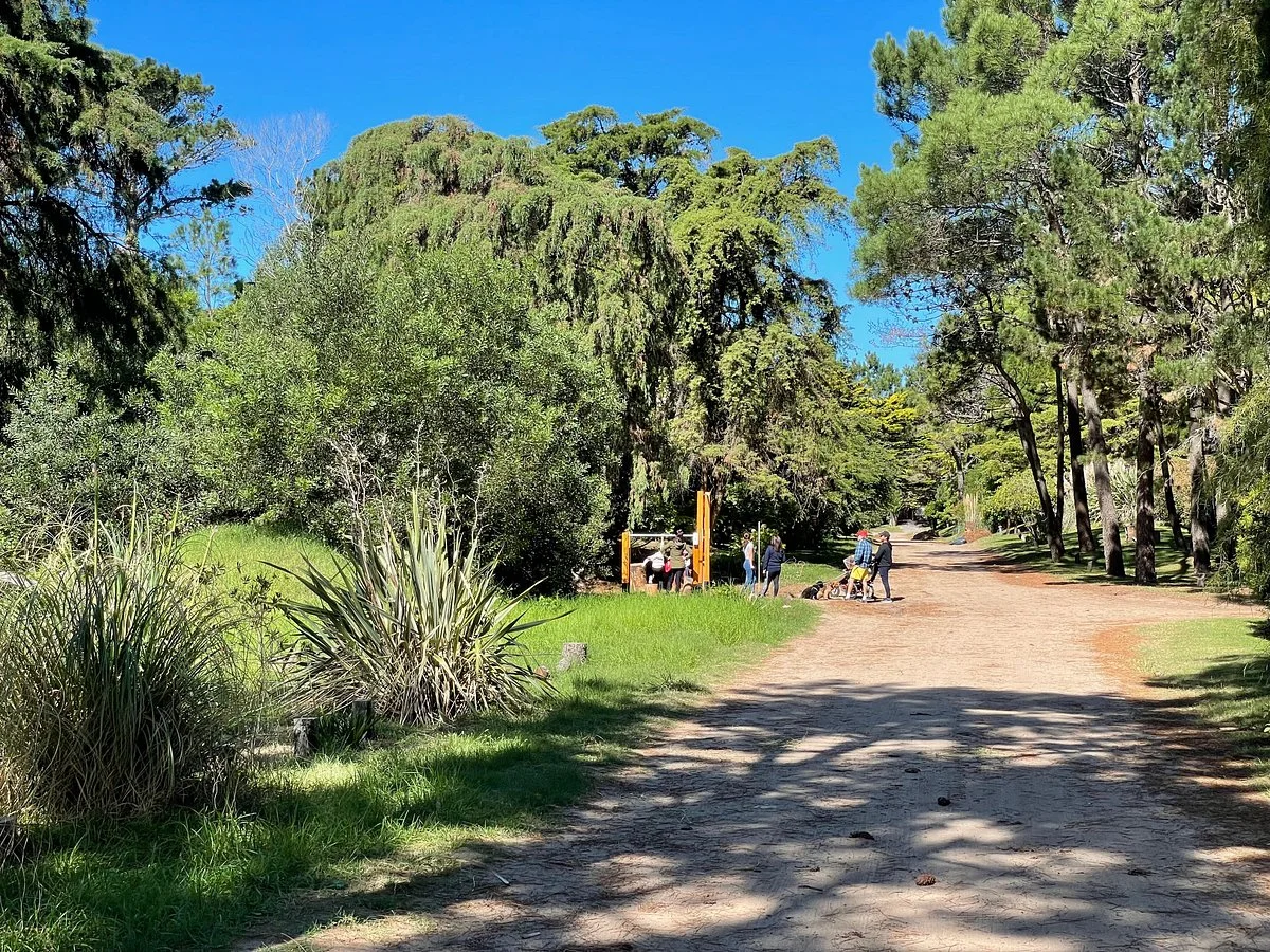 Aire Libre, Libre