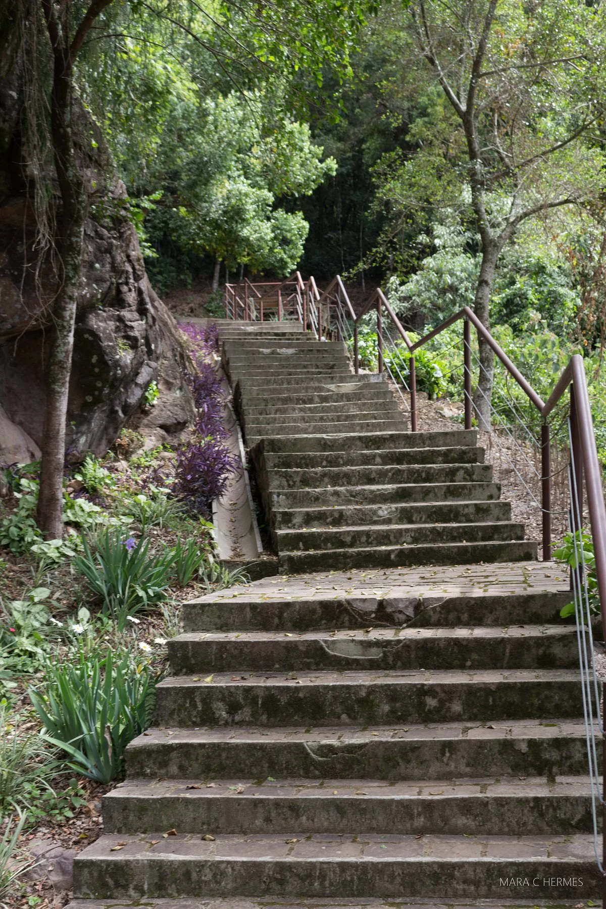 Gruta Nossa Senhora da Uva