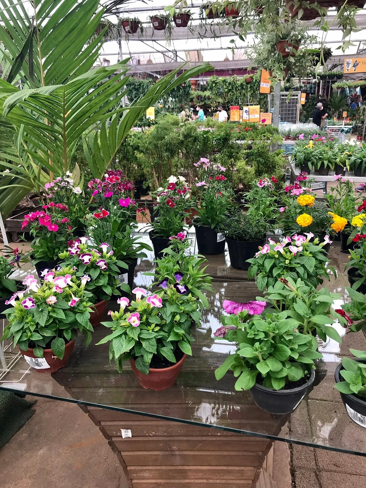 Shopping Garden Sul