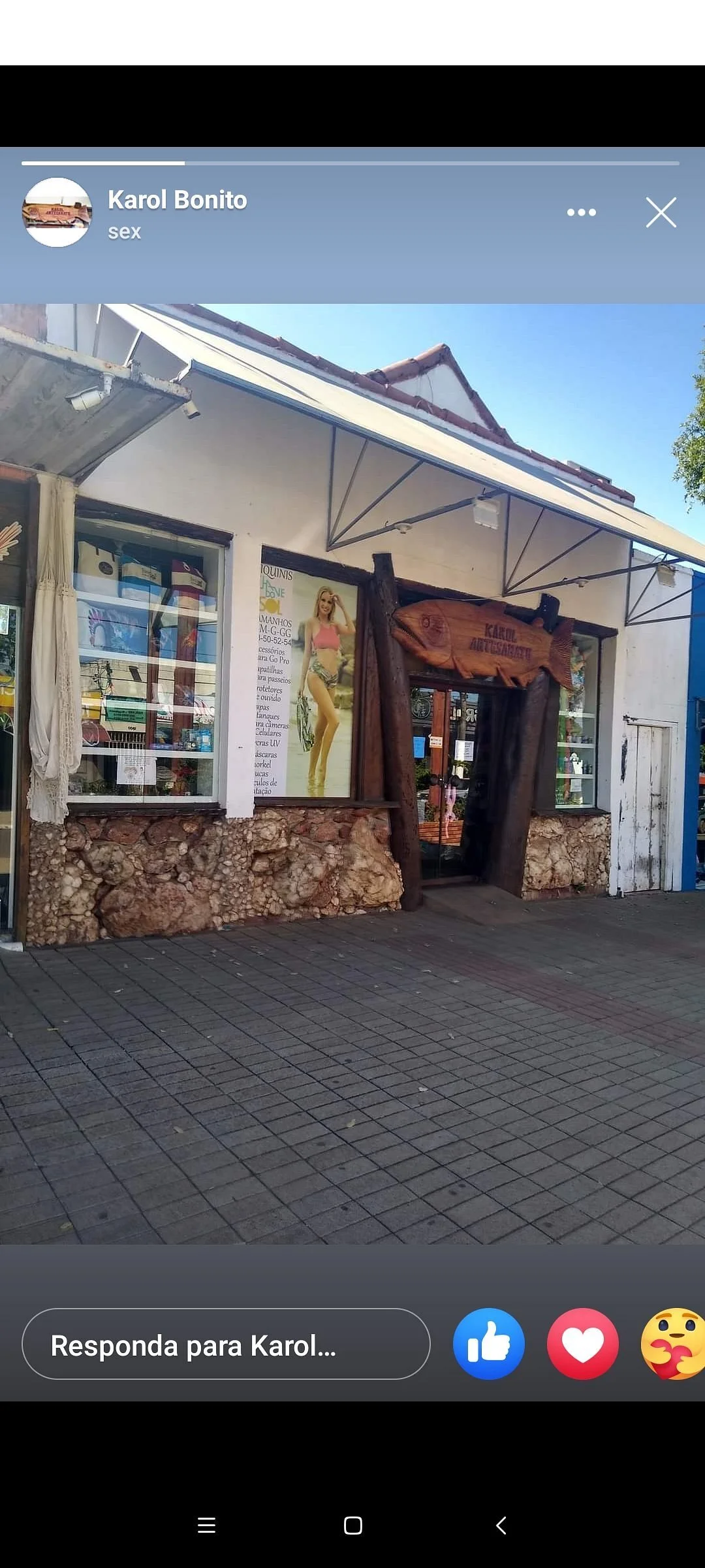 Karol Artesanatos