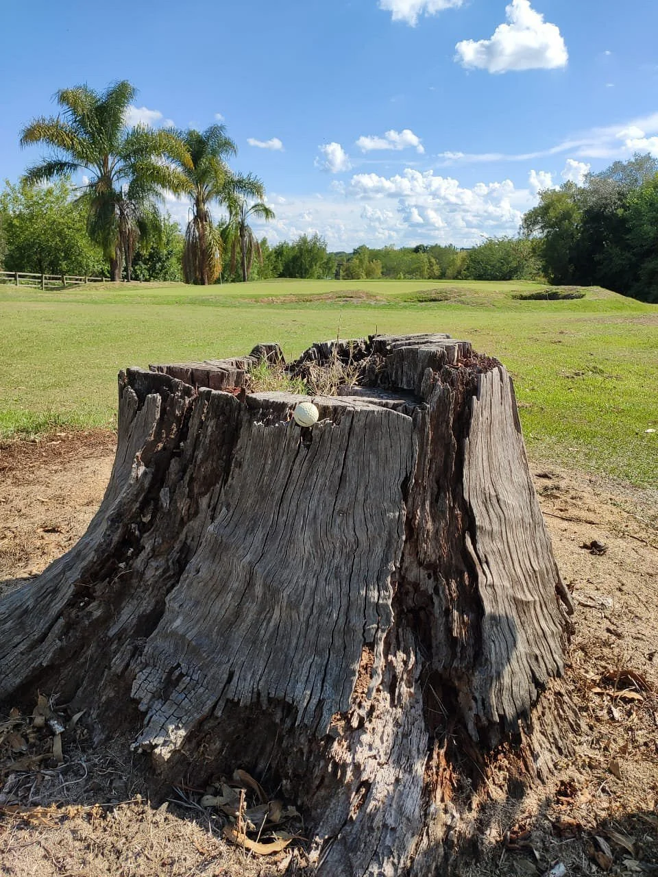 Golf Club Colón
