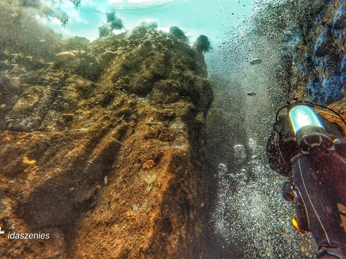 Escuela De Buceo Pleamarsub
