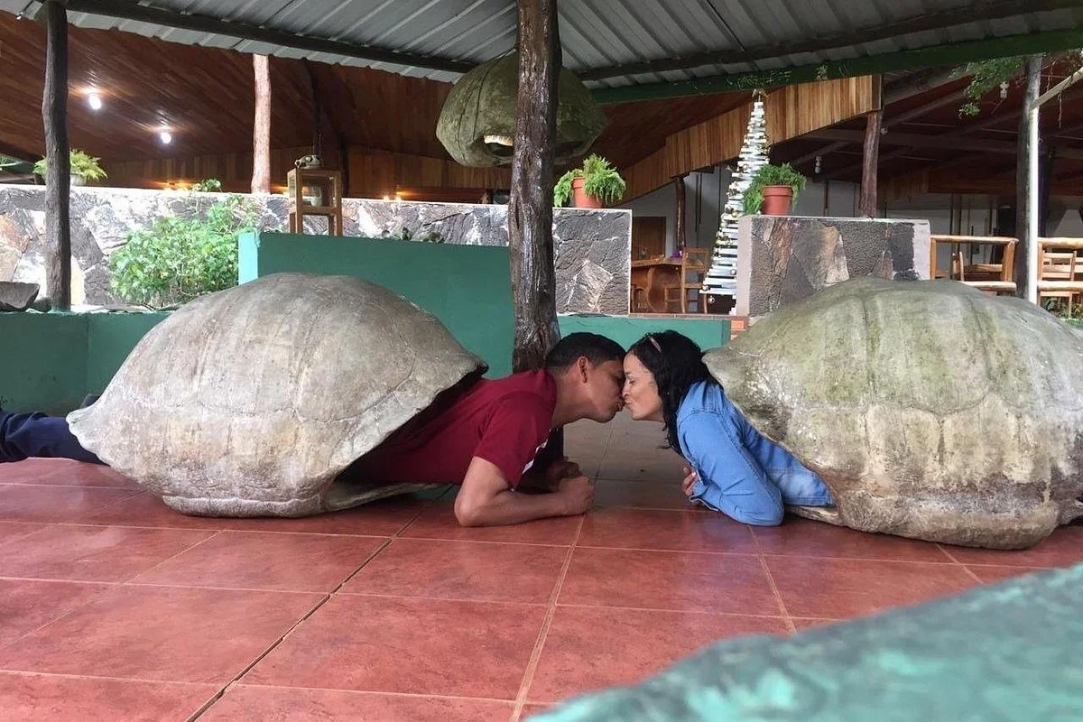 GALAPAGOS TRAVEL AND SUPPLY LLC