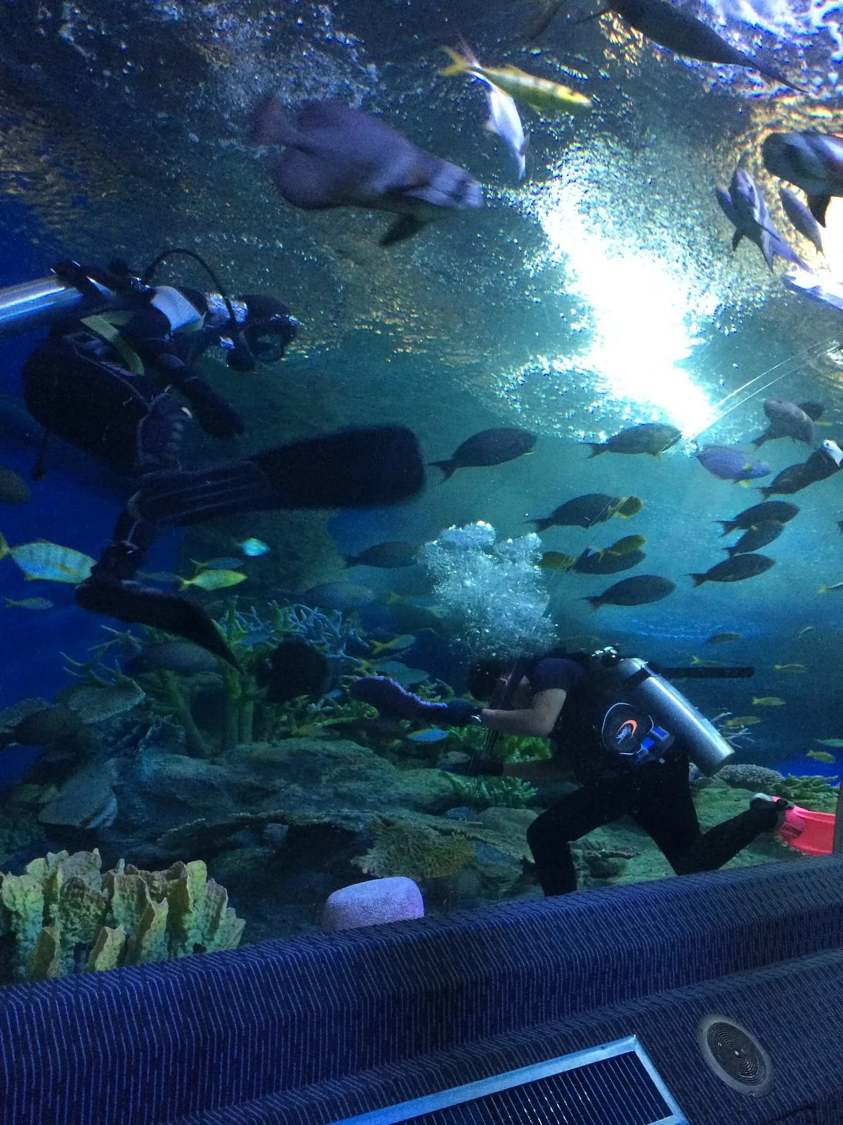 Underwater World Pattaya